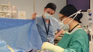  ד"ר יהלי מילר וד"ר אריאל גראס , המרכז הרפואי שערי צדק