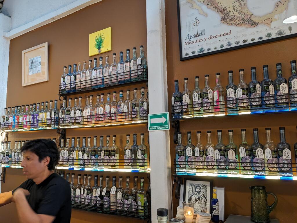 A typical bar in town. "Mezcal fuels Oaxaca’s vibrant nightlife" (Photo: Amir Bogen) חגיגות "יום המתים" במקסיקו