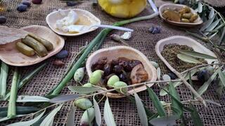 Дегустация на фестивале "Дни оливковой ветви" 