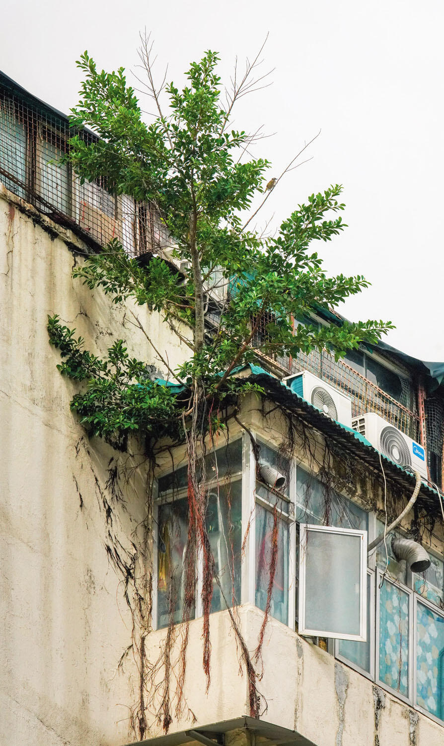 67 Battery Street, 2023