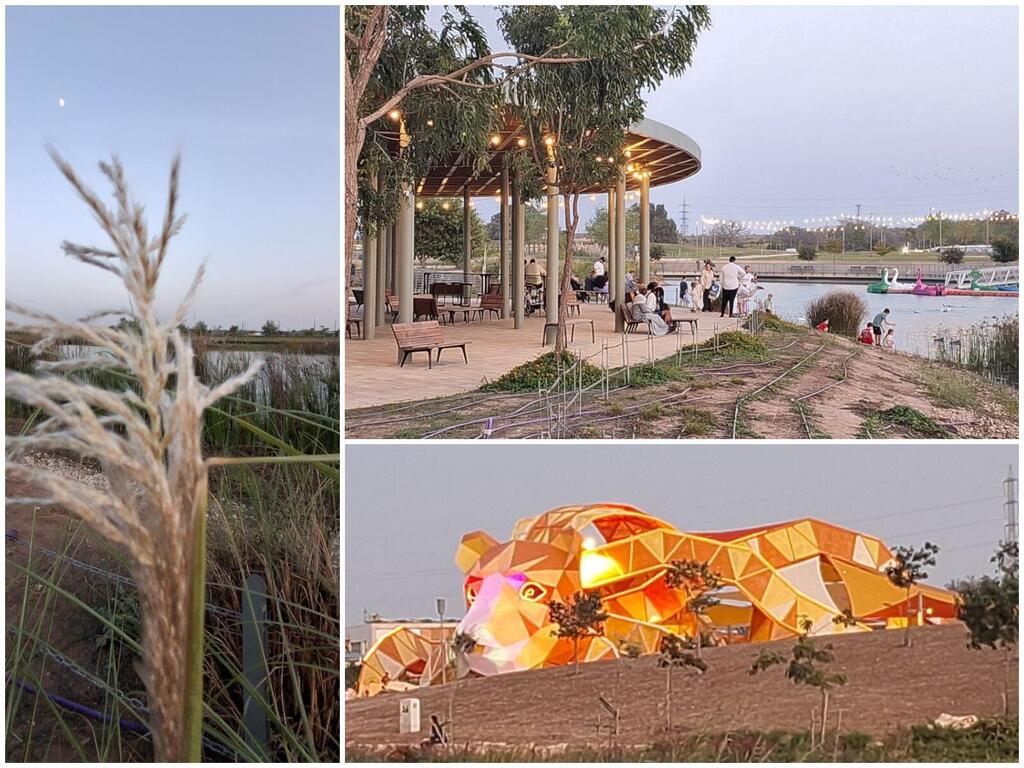 Вечер в экопарке Ашкелона (Фото: Анастасия Тадсон) Вечер в экопарке Ашкелона