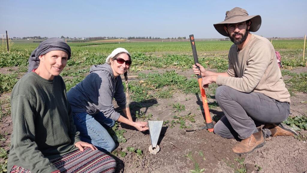 החוקרים בשטח