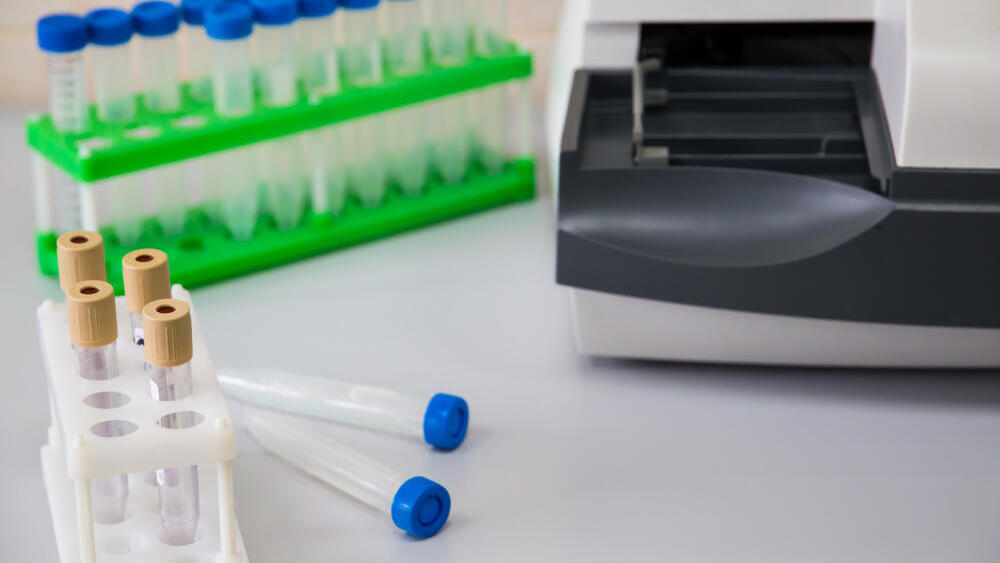 Фото: shutterstock