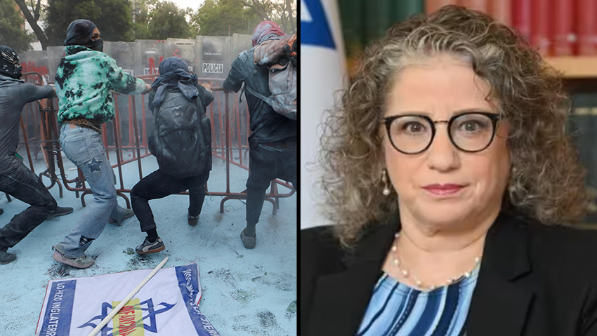 מחאות פרו-פלסטיניות במקסיקו סיטי, מקסיקו