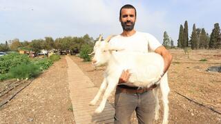 סנדי בן זקן