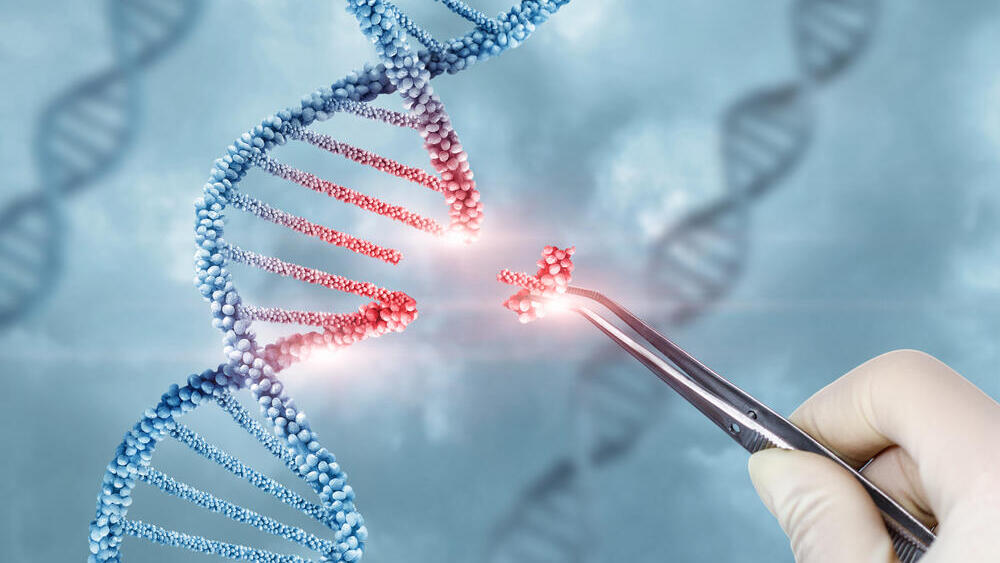 crispr, dna