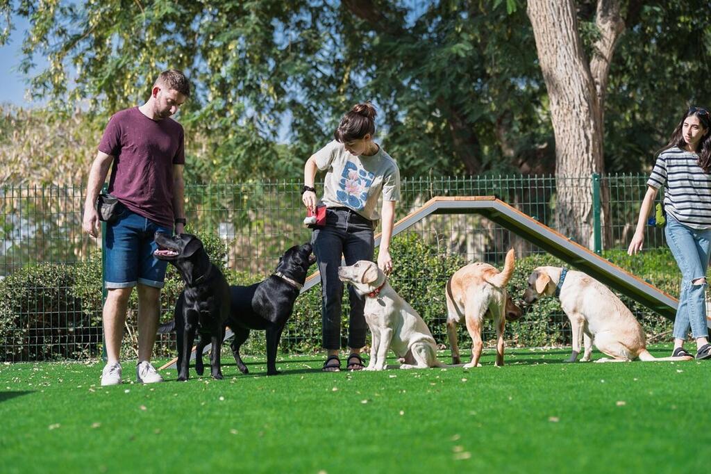 כלבי נחייה בגינה שנחנכה באוניברסיטת בן-גוריון