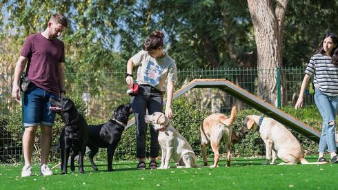 כלבי נחייה בגינה שנחנכה באוניברסיטת בן-גוריון