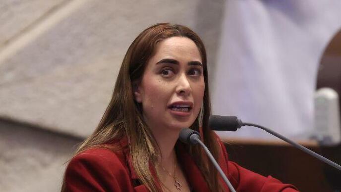 דיון 40 חתימות במליאת הכנסת