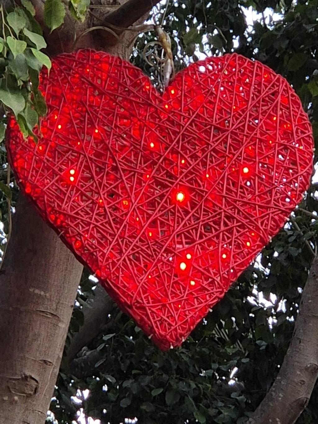 פסטיבל האור הבינלאומי LUMAGICA  מגיע לגן הטרופי בגני יהושע  בתל אביב