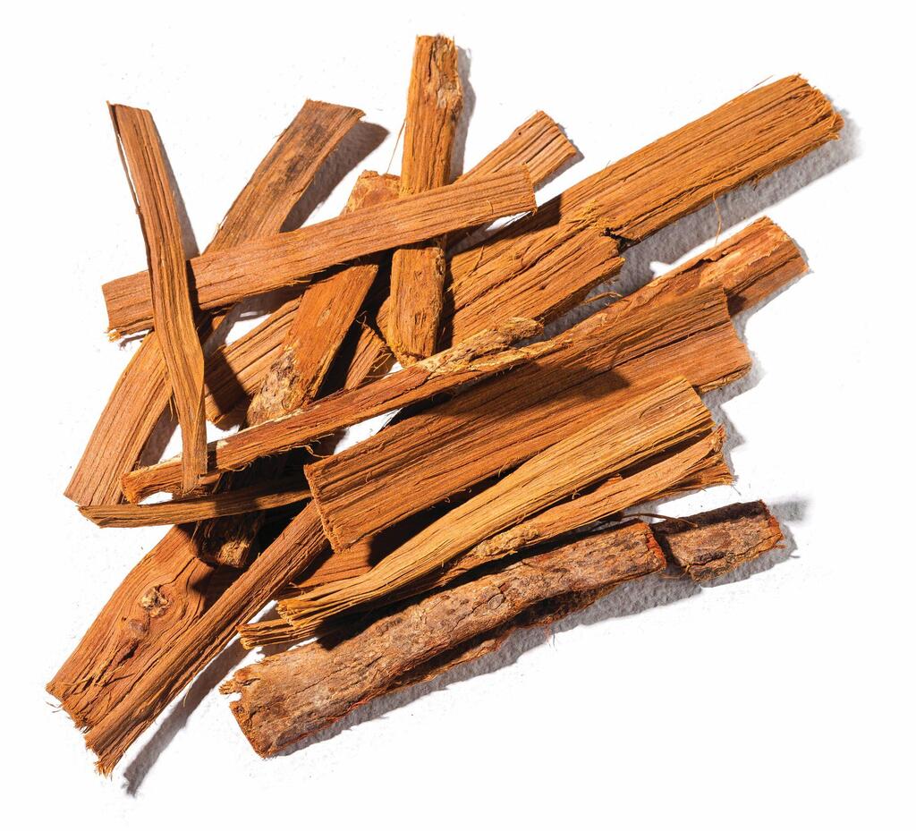 Cat's Claw (Photo: Shutterstock/ASAP Creative) אוניה דה גאטו. נוגד דלקת, מחזק את מערכת החיסון