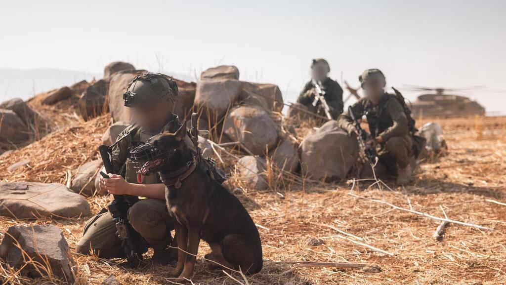 Учения "Львиный рык: спецназ на позиции (Фото: ЦАХАЛ) חיל האוויר בתרגיל הדו-אוגדתי בפיקוד המרכז