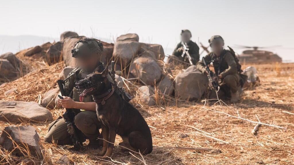 Учения "Львиный рык: спецназ на позиции (Фото: пресс-служба ЦАХАЛа) חיל האוויר בתרגיל הדו-אוגדתי בפיקוד המרכז