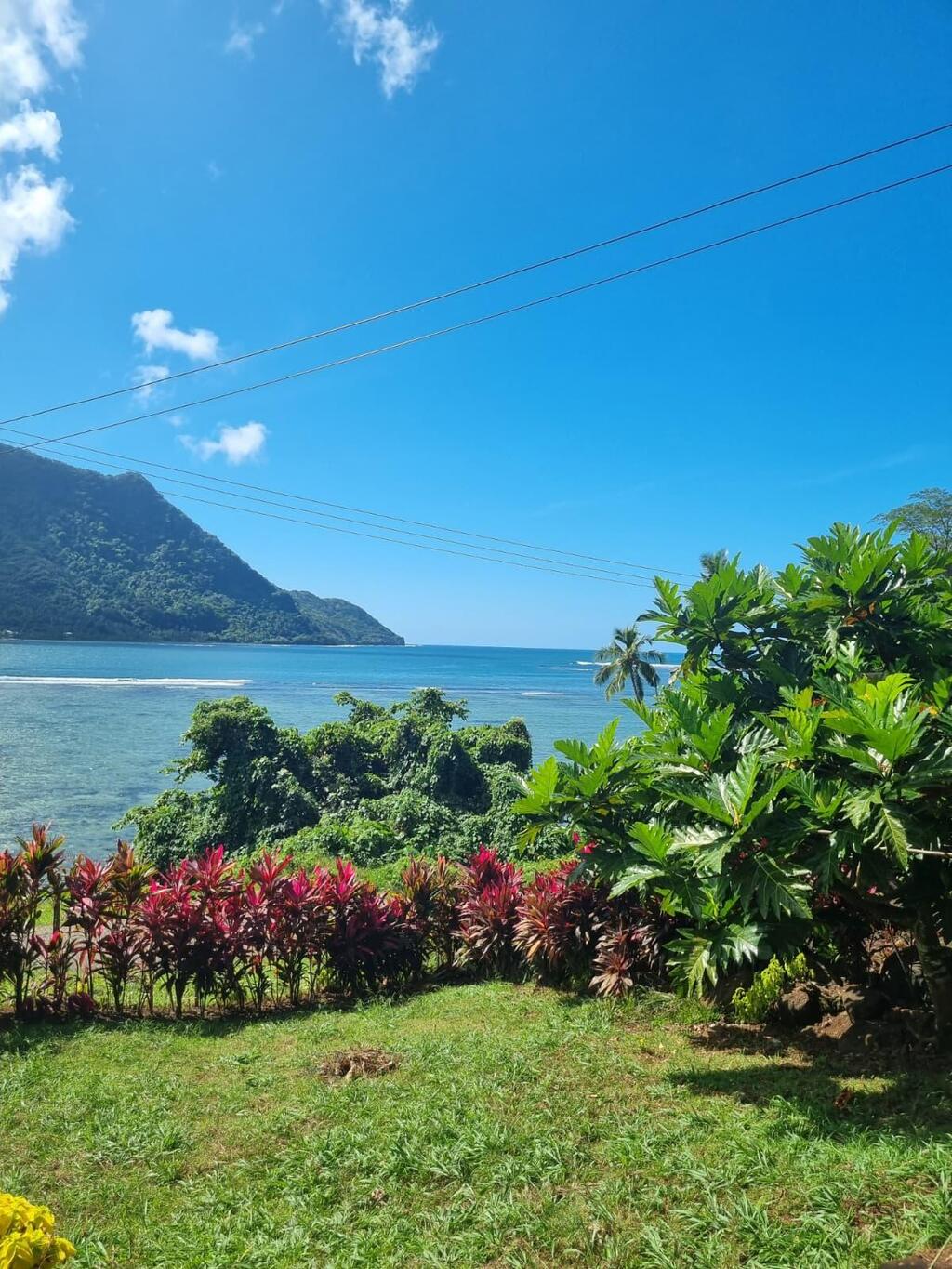 ירוק וכחול באופולו