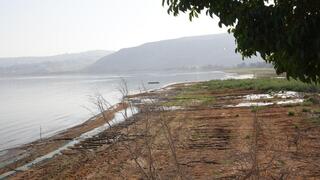 המפלס ירד השנה באופן חד