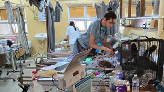 משלחת הסיוע הישראלית בעקבות ההוריקן מליסה בג'מייקה