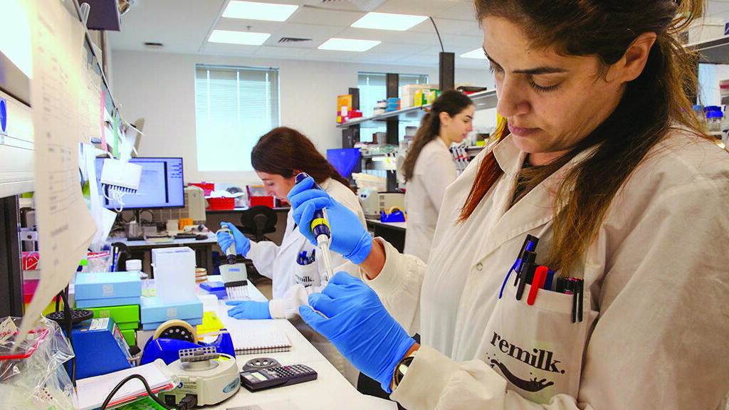 המעבדה ברימילק