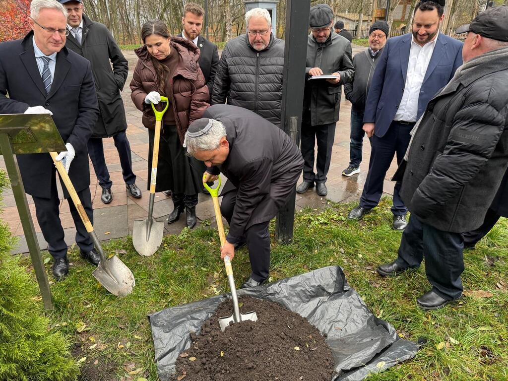 Посадка дерева на аллее ККЛ (Фото: пресс-служба "Натив") Посадка дерева на аллее ККЛ