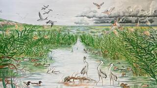 הנוף שנשקף ממערות הכרמל לפני כ-15 אלף שנה