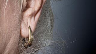 תנוך אוזן, אוזניים