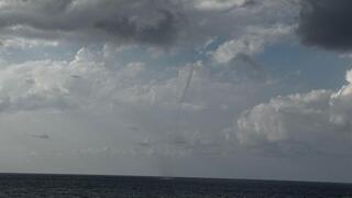 נד מים, שתועד בחוף פלמחים