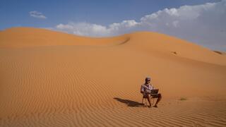 רועי בדיונות של עומאן