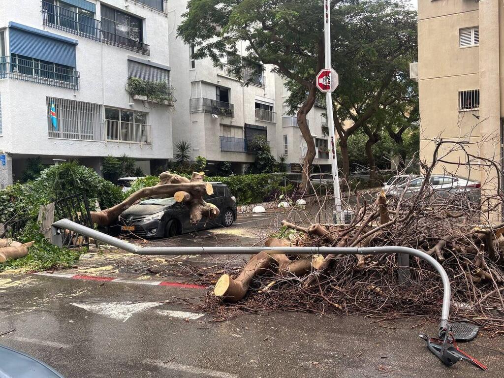 Strong winds brought down a tree in Tel Aviv עץ קרס על רכב בצפון תל אביב, ברחוב רחל