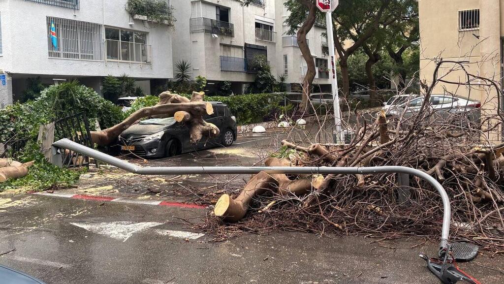 A tree fell on a vehicle in north Tel Aviv עץ קרס על רכב בצפון תל אביב, ברחוב רחל