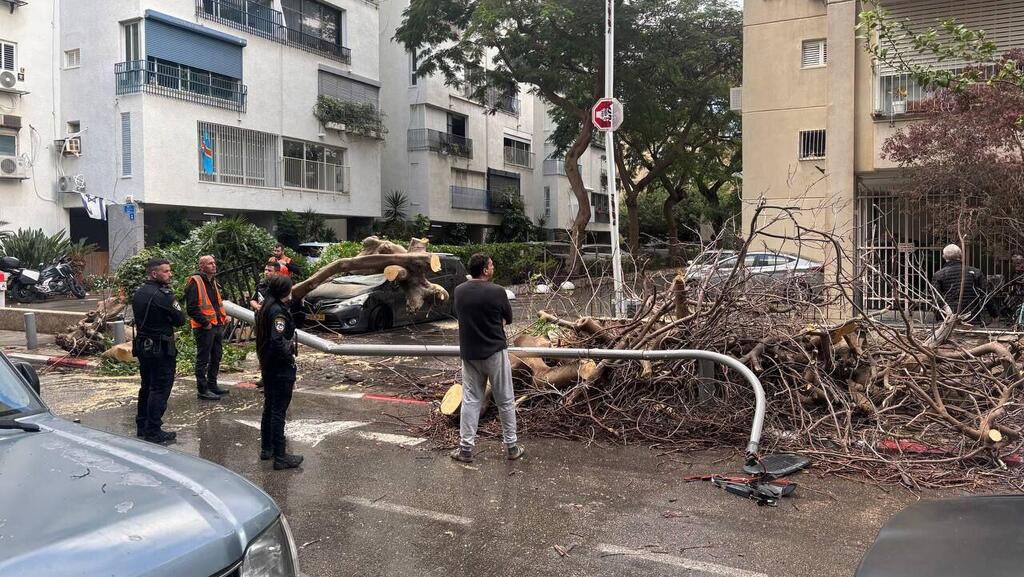 Упавшее от ветра дерево в Тель-Авиве עץ קרס על רכב בצפון תל אביב, ברחוב רחל