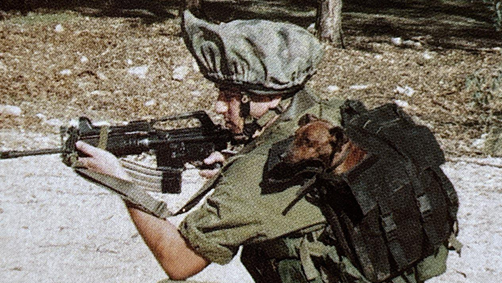 שילוב פינצ'רים ונשיכת בנו של נסראללה: סודות "עוקץ"