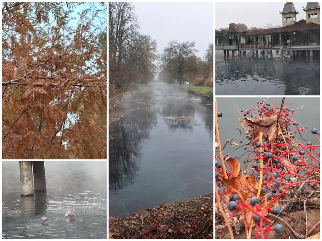 Озеро Хевиз, его канал и окружающая природа - ноябрь 2025 года (Фото: Анастасия Тадсон) Озеро Хевиз, его канал и окружающая природа - ноябрь 2025 года