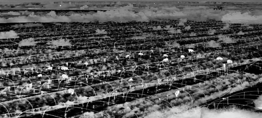 הנזק זגרמו חזירי בר