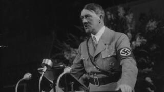 מהי מיקרו-פין, איך מטפלים בה - ומה הקשר להיטלר?