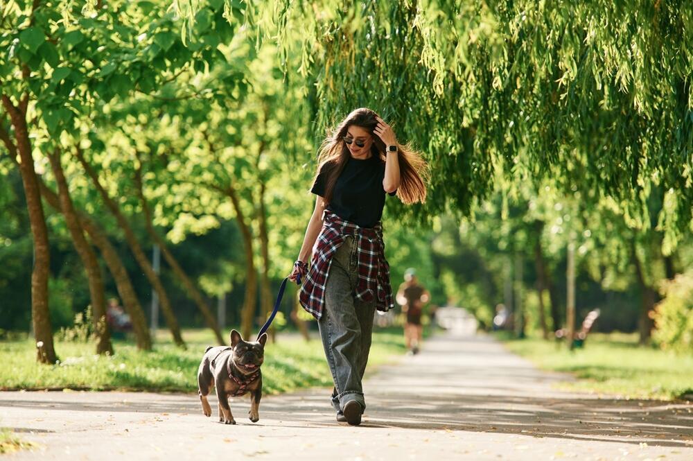 Take a walk in the park (Photo: Shutterstock) טבע ונפש