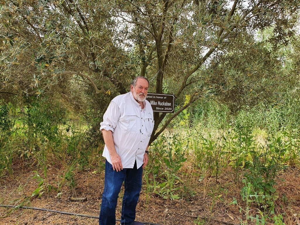 Photo: My Tree in Israel