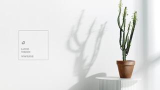 Цвет года в Израиле - ясный белый WW2202 Lucid Vision