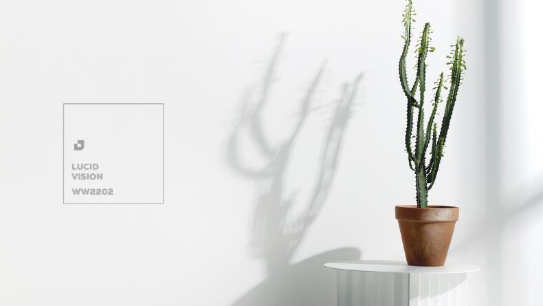 Цвет года в Израиле - ясный белый WW2202 Lucid Vision (Фото: Ронен Манган, стайлинг: Ади Фарбер) Цвет года в Израиле - ясный белый WW2202 Lucid Vision