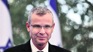 שר המשפטים יריב לוין