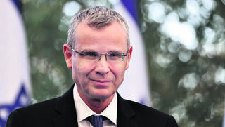 שר המשפטים יריב לוין