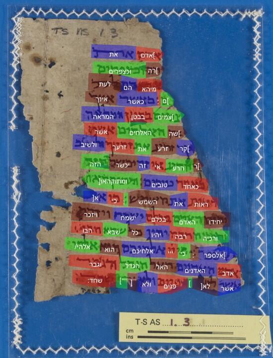 הצגת הטקסט כפי שנוצר באופן אוטומטי על גבי הדף