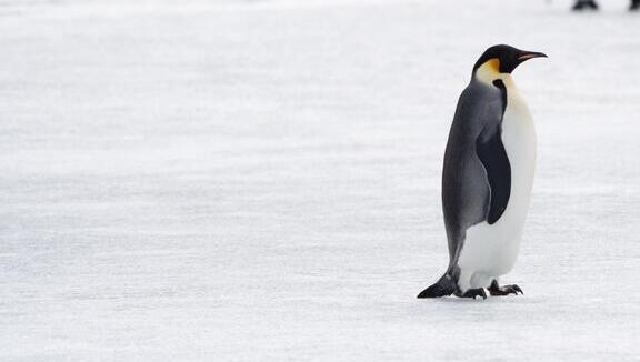אל תבואו! היעדים שמומלץ להימנע מהם בשנת 2026