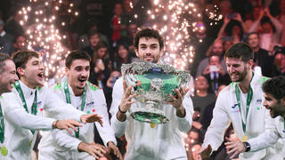 גביע דייויס