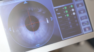  דניאל המשתולל 