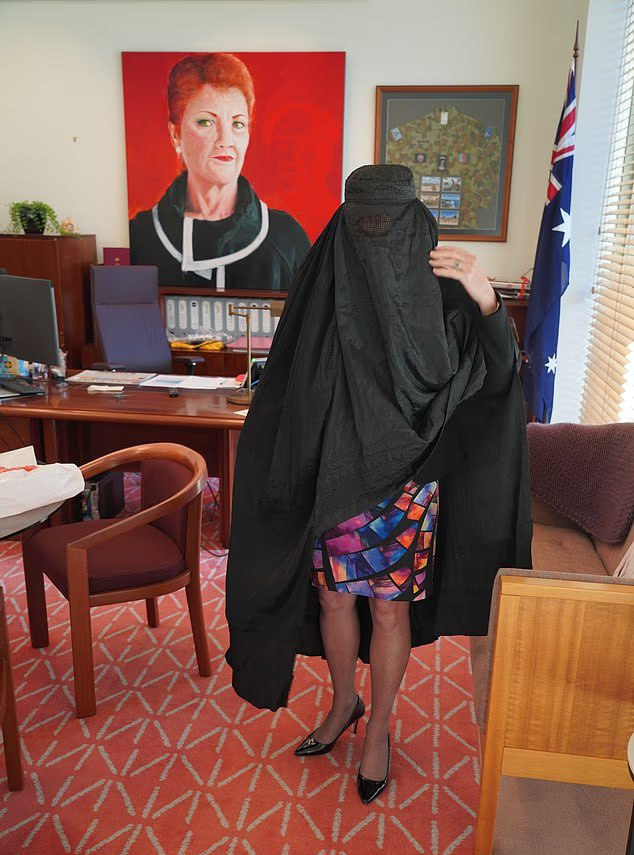 Hanson wearing a “half burqa” in parliament last year: “So every Australian knows what is at stake” אוסטרליה חברת סנאט פאולין הנסון באה ב בורקה