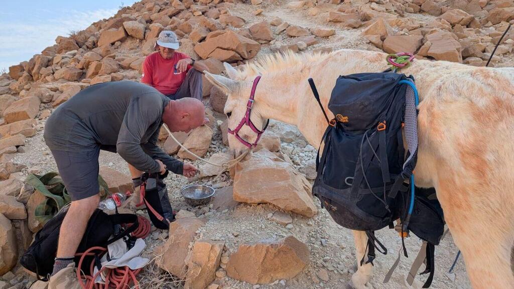 Спасение осла в Нахаль-Цеэлим (Фото: Омер Леви, спасательная служба Арада) חמור חולץ מבריכת נעמה בנחל צאלים