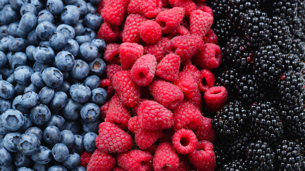 Свежие лесные ягоды (Фото: shutterstock) פירות יער