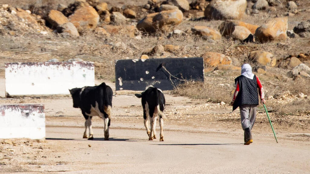 יאיר קראוס, בביקור בסוריה
