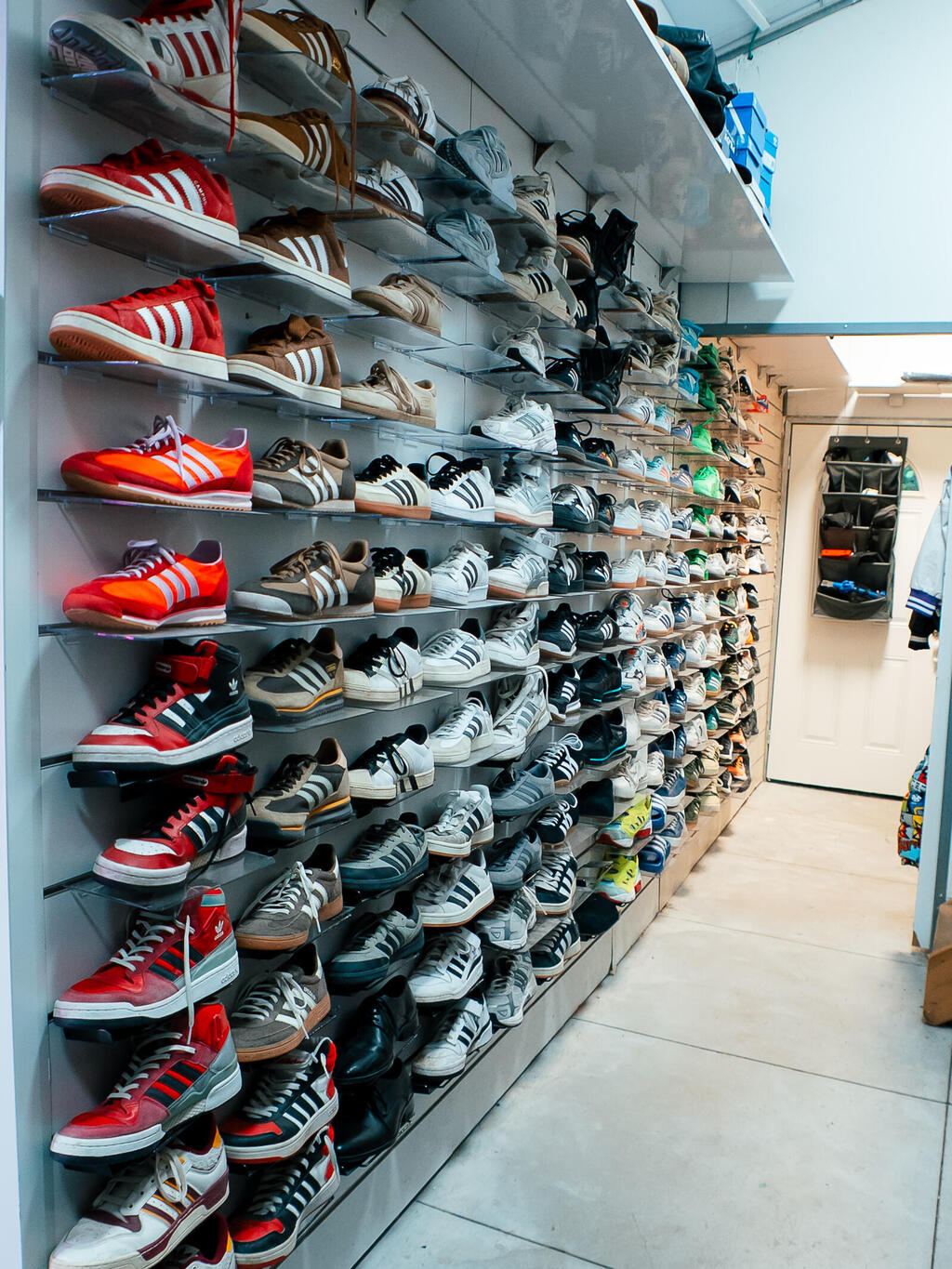 הארון המיוחד של דילן