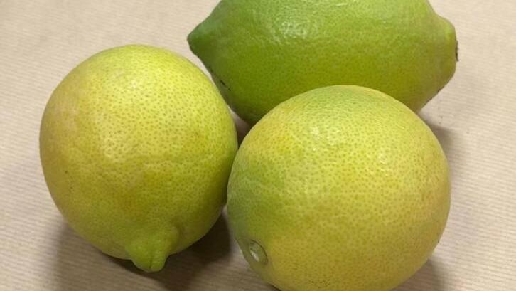 לימון סידלס