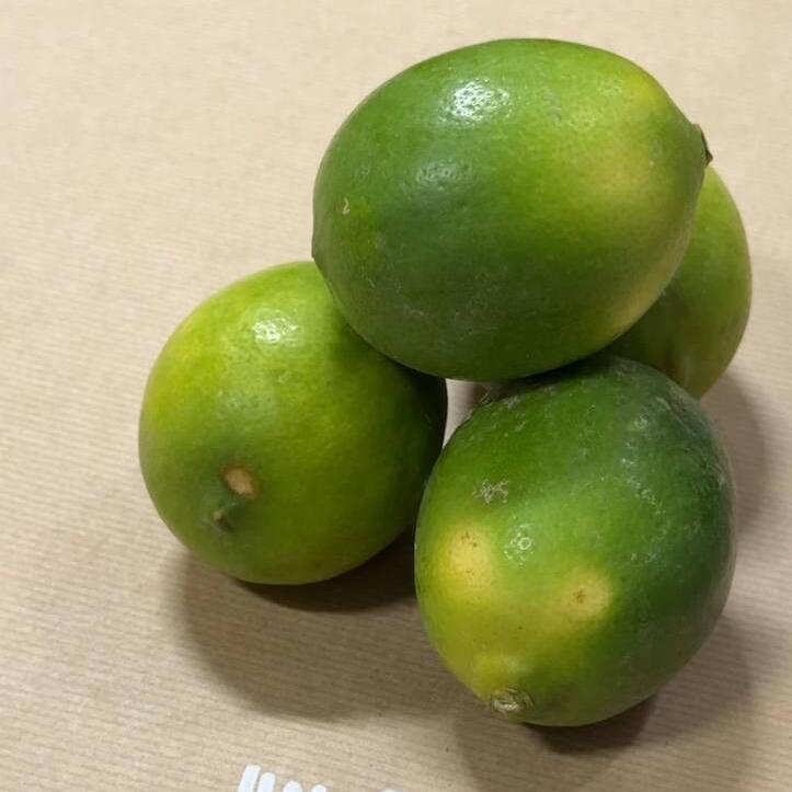 Лимон Мейера (Фото: Сапир Гордо) לימון מאייר